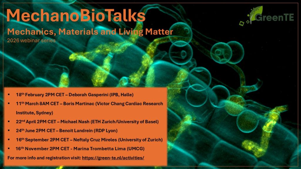 flyer design_final_PNG