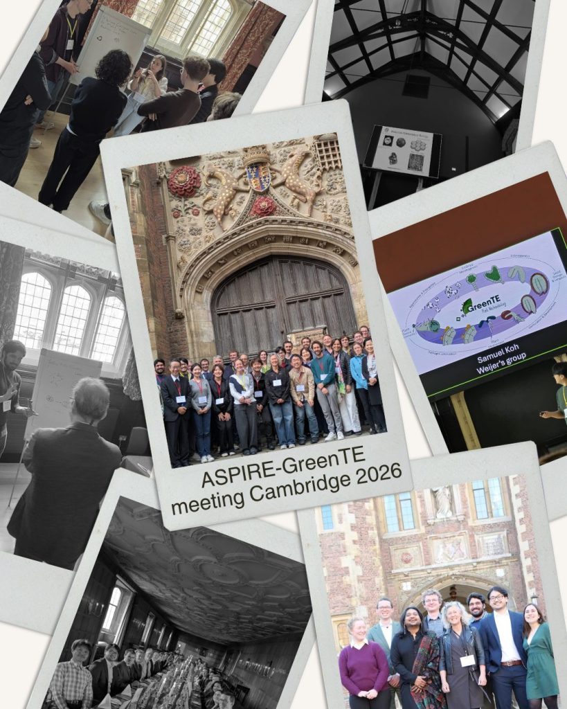 ASPIRE-GTE_ Ceci-website